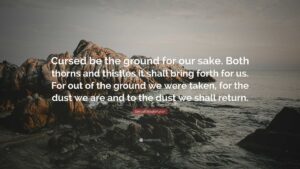 Denzel Washington Quote Cursed Be The Ground For Our Sake Both Thorns And Thistles It Shall Bring Forth For Us For Out Of The Ground We Were