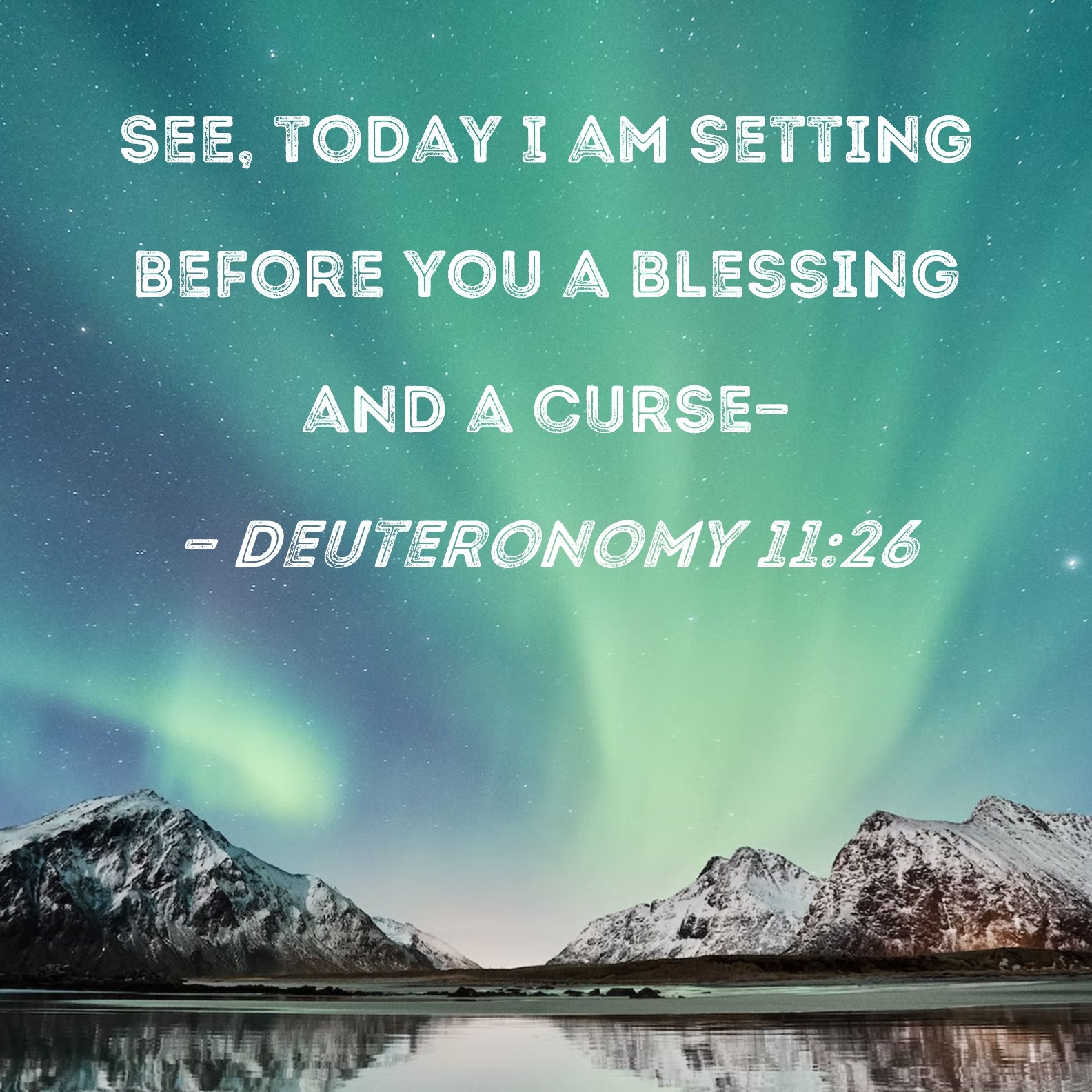 Curse Quotes Bible