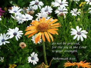Deuteronomy 33 Part Six Verses 24 29 Called To Be Happy