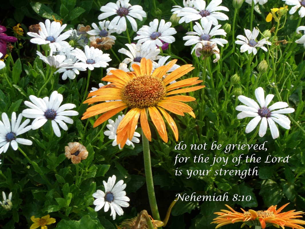 Bible Quotes On Being Happy
