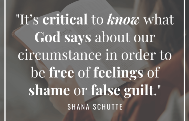 Discern Truth Over Lies Wisdom Hunters