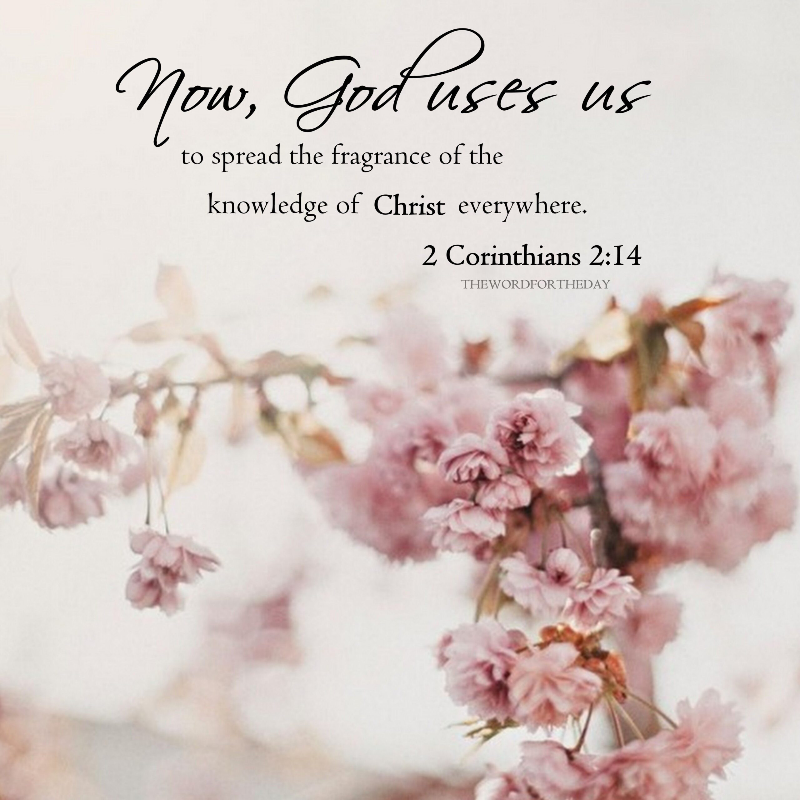 Discover 140 Spring And Christian Quotes Ideas Hope In Jesus Words Quotes And More