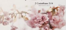 Discover 140 Spring And Christian Quotes Ideas Hope In Jesus Words Quotes And More
