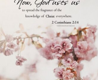 Discover 140 Spring And Christian Quotes Ideas Hope In Jesus Words Quotes And More