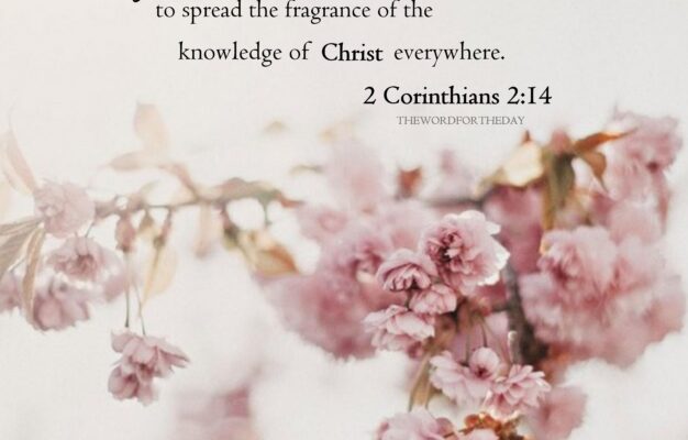 Discover 140 Spring And Christian Quotes Ideas Hope In Jesus Words Quotes And More