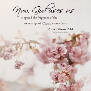 Discover 140 Spring And Christian Quotes Ideas Hope In Jesus Words Quotes And More