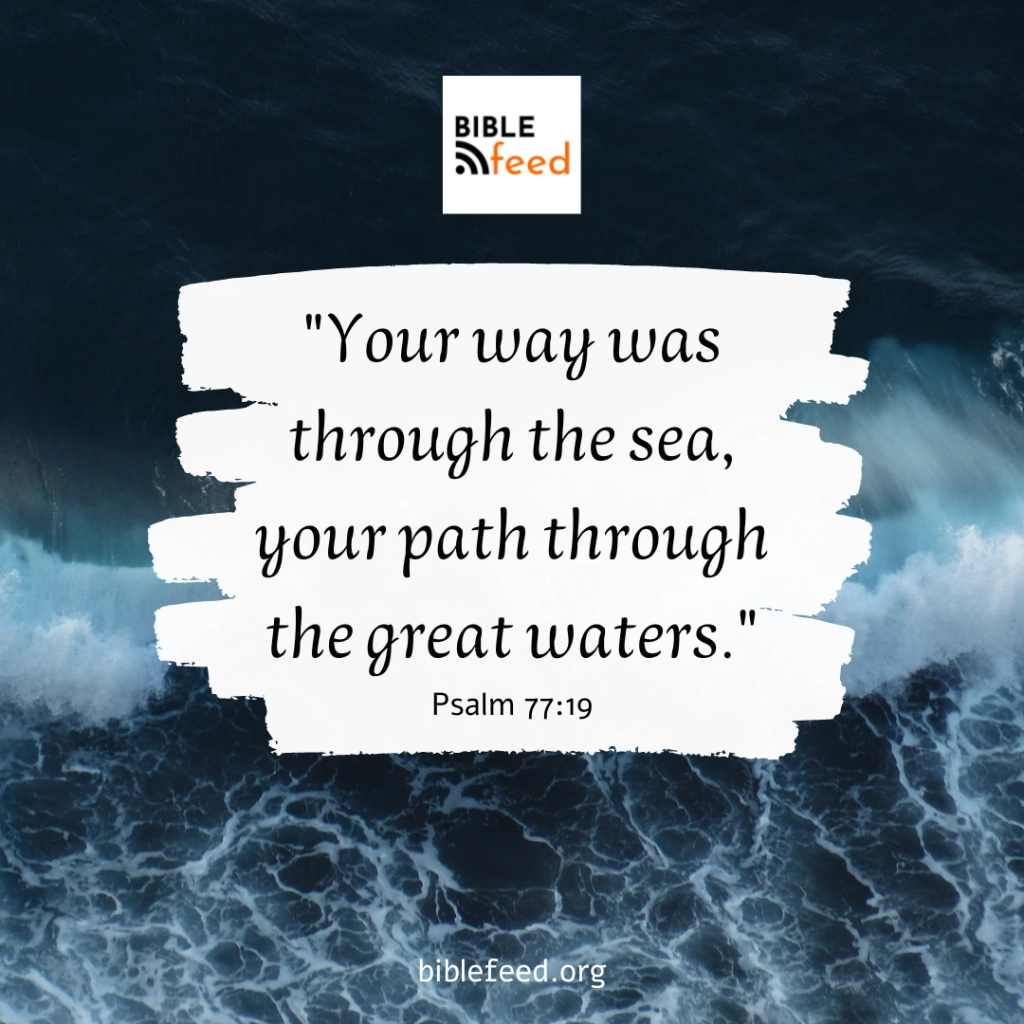 Does Walking On Water Show That Jesus Is God Bible Feed