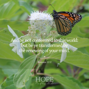 Don t Be Conformed Be Transformed Hope Reflected Christian Living
