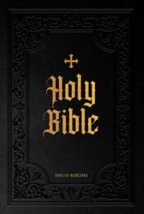 Douay Rheims Bible Large Print Edition