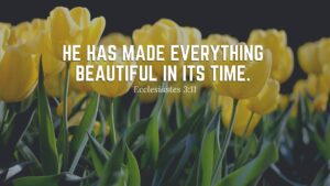 Download Beautiful Bible Quote Wallpaper Wallpapers