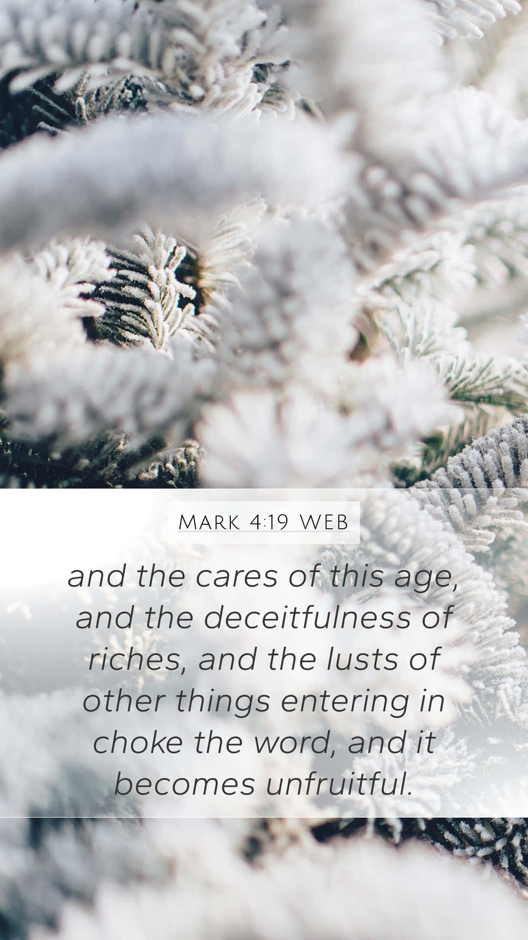 Bible Quotes Winter