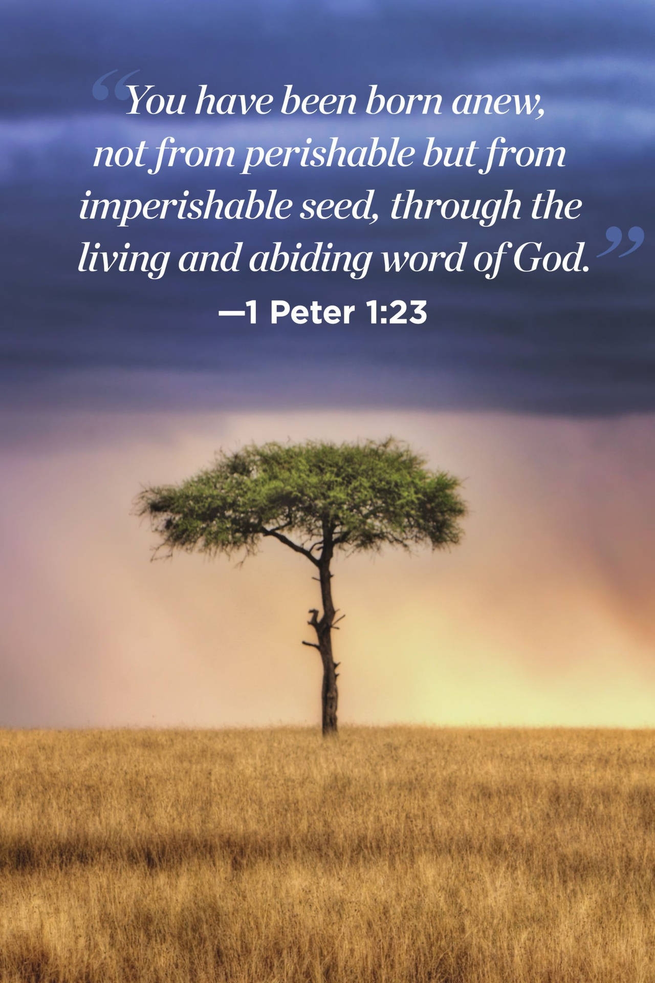 Download God Quotes Peter 1 23 Wallpaper Wallpapers