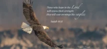 Eagle Wall Canvas Metal Acrylic Print Isaiah 40 31 Bible Verse Picture Office Living Room Kitchen Bedroom Entryway Religious Quote Etsy