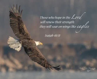 Eagle Wall Canvas Metal Acrylic Print Isaiah 40 31 Bible Verse Picture Office Living Room Kitchen Bedroom Entryway Religious Quote Etsy