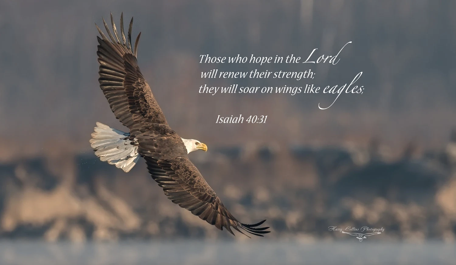 Eagle Wall Canvas Metal Acrylic Print Isaiah 40 31 Bible Verse Picture Office Living Room Kitchen Bedroom Entryway Religious Quote Etsy