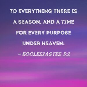 Ecclesiastes 3 1 To Everything There Is A Season And A Time For Every Purpose Under Heaven