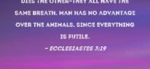 Ecclesiastes 3 19 For The Fates Of Both Men And Beasts Are The Same As One Dies So Dies The Other they All Have The Same Breath Man Has No Advantage Over The Animals