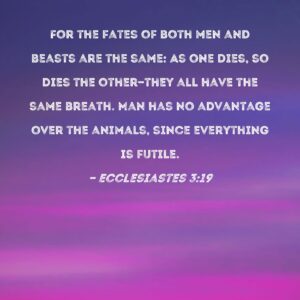Ecclesiastes 3 19 For The Fates Of Both Men And Beasts Are The Same As One Dies So Dies The Other they All Have The Same Breath Man Has No Advantage Over The Animals