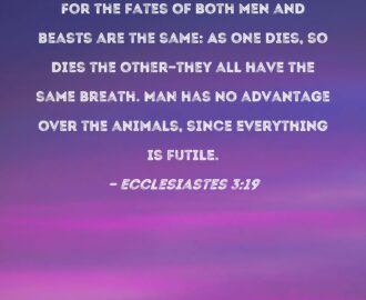 Ecclesiastes 3 19 For The Fates Of Both Men And Beasts Are The Same As One Dies So Dies The Other they All Have The Same Breath Man Has No Advantage Over The Animals