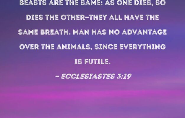 Ecclesiastes 3 19 For The Fates Of Both Men And Beasts Are The Same As One Dies So Dies The Other they All Have The Same Breath Man Has No Advantage Over The Animals