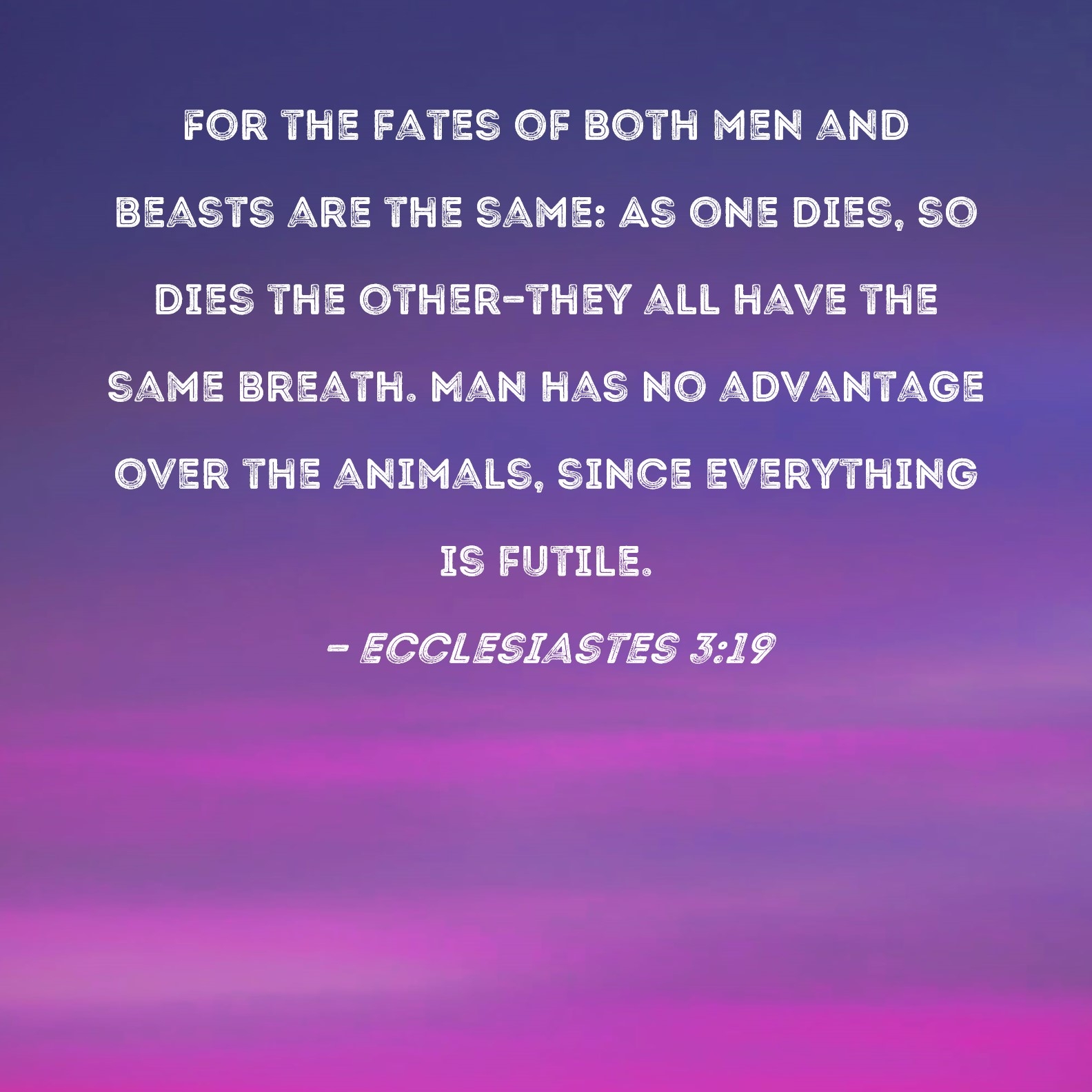 Ecclesiastes 3 19 For The Fates Of Both Men And Beasts Are The Same As One Dies So Dies The Other they All Have The Same Breath Man Has No Advantage Over The Animals 