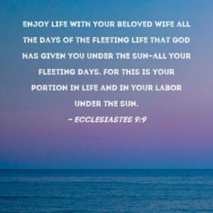 Ecclesiastes 9 9 Enjoy Life With Your Beloved Wife All The Days Of The Fleeting Life That God Has Given You Under The Sun all Your Fleeting Days For This Is Your Portion In