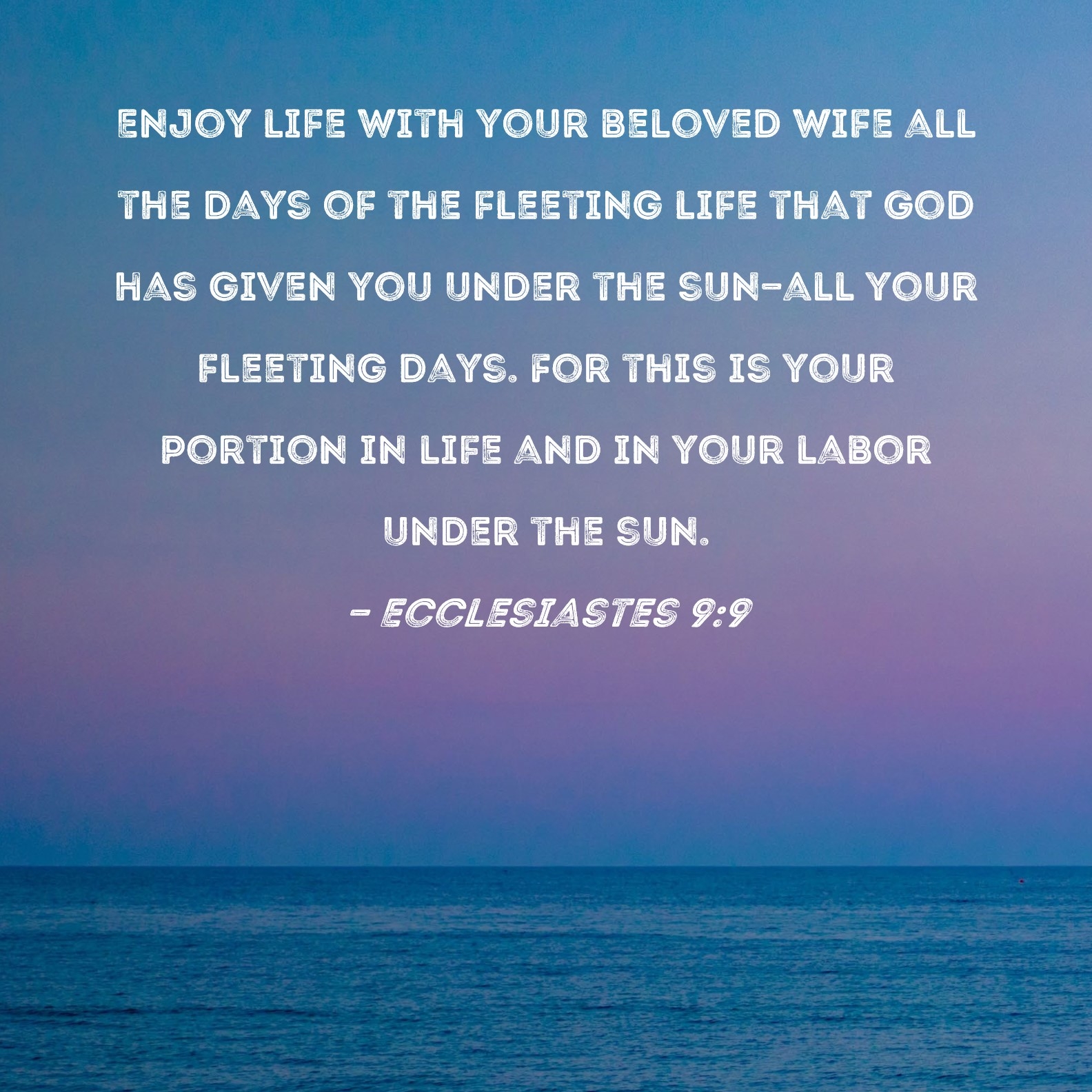 Ecclesiastes 9 9 Enjoy Life With Your Beloved Wife All The Days Of The Fleeting Life That God Has Given You Under The Sun all Your Fleeting Days For This Is Your Portion In