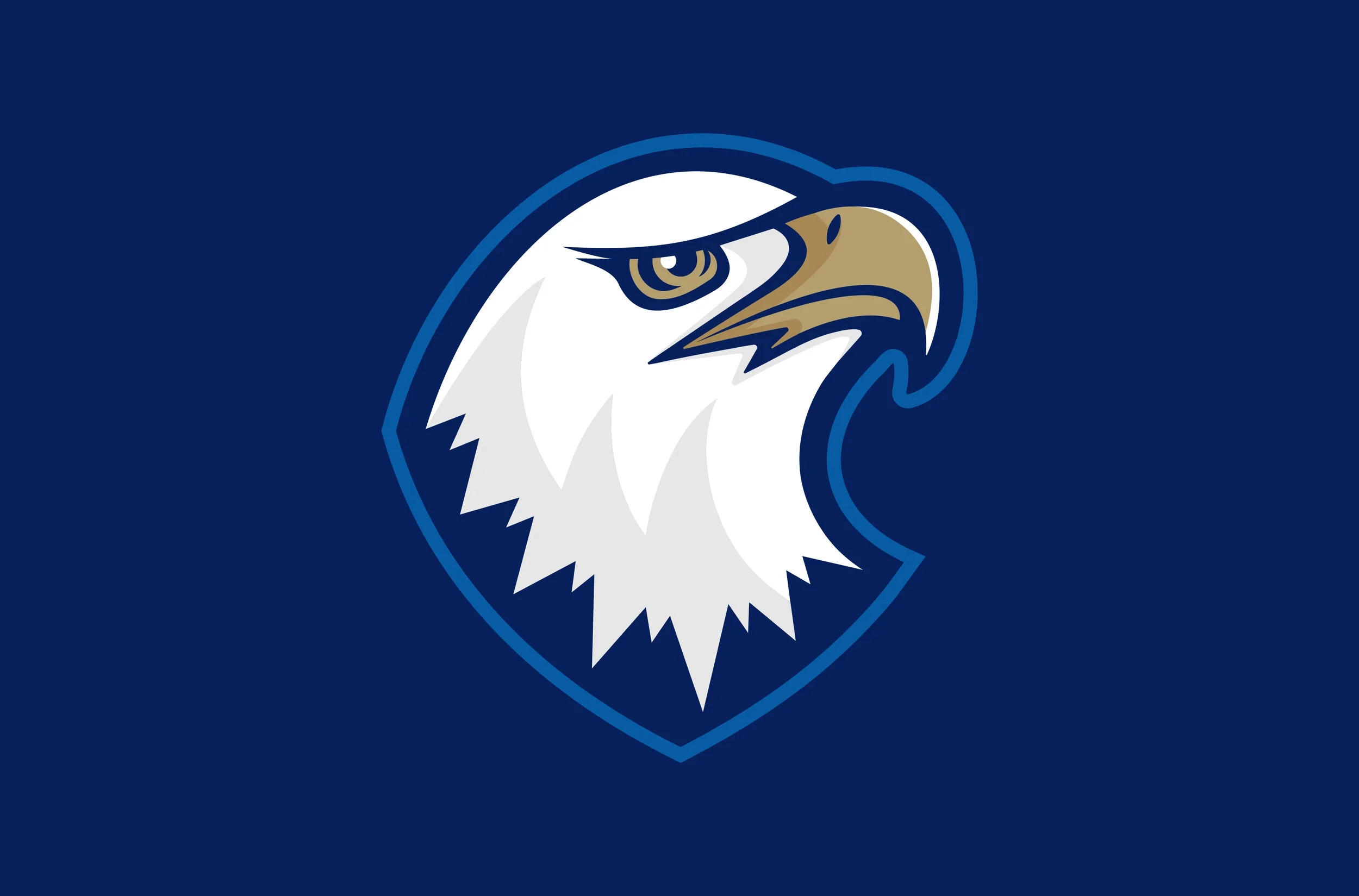 Emmaus Bible College Eagles New Athletics Logo Drew Elrick Design