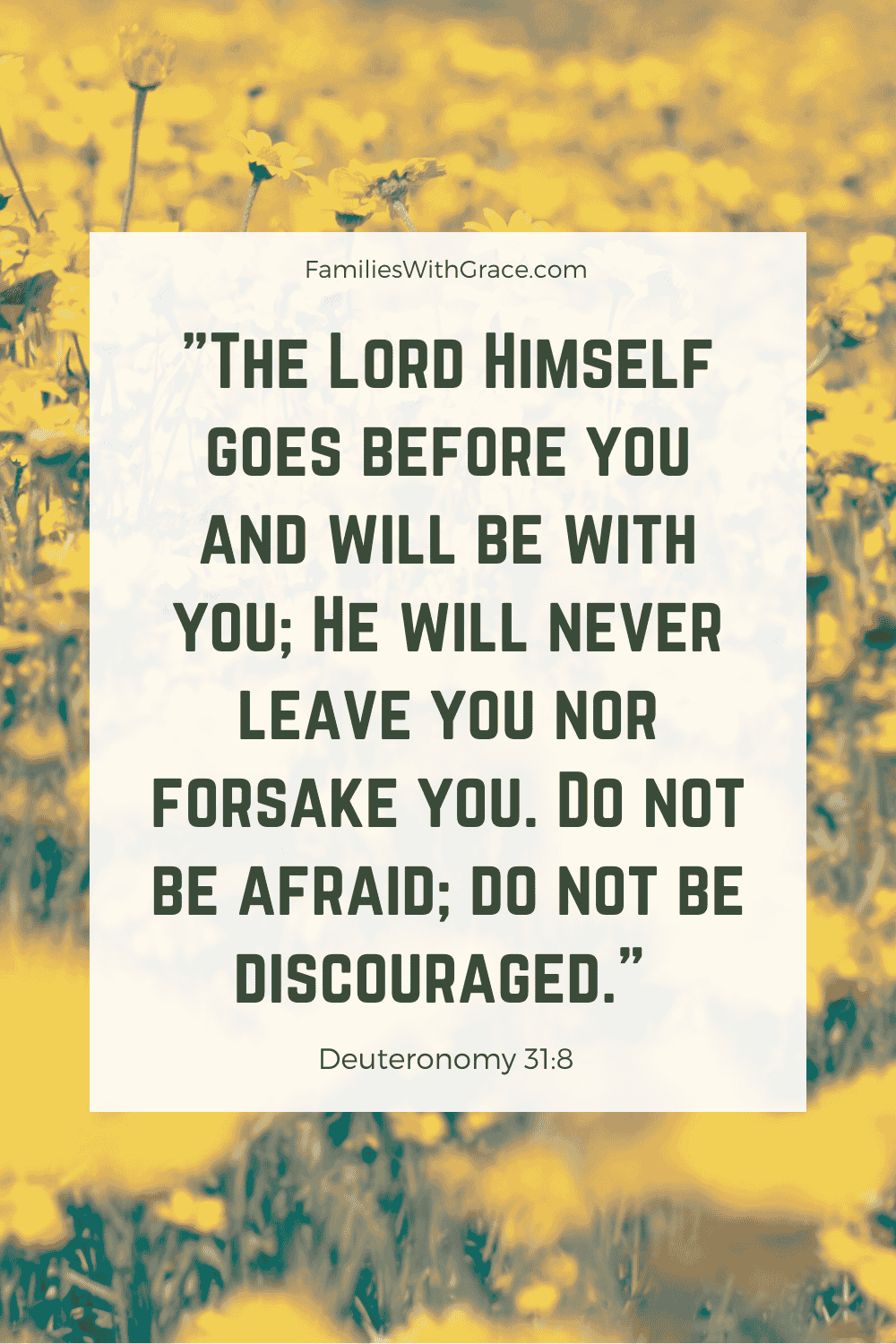 Encouragement For When You Feel Like You re Failing God Families With Grace