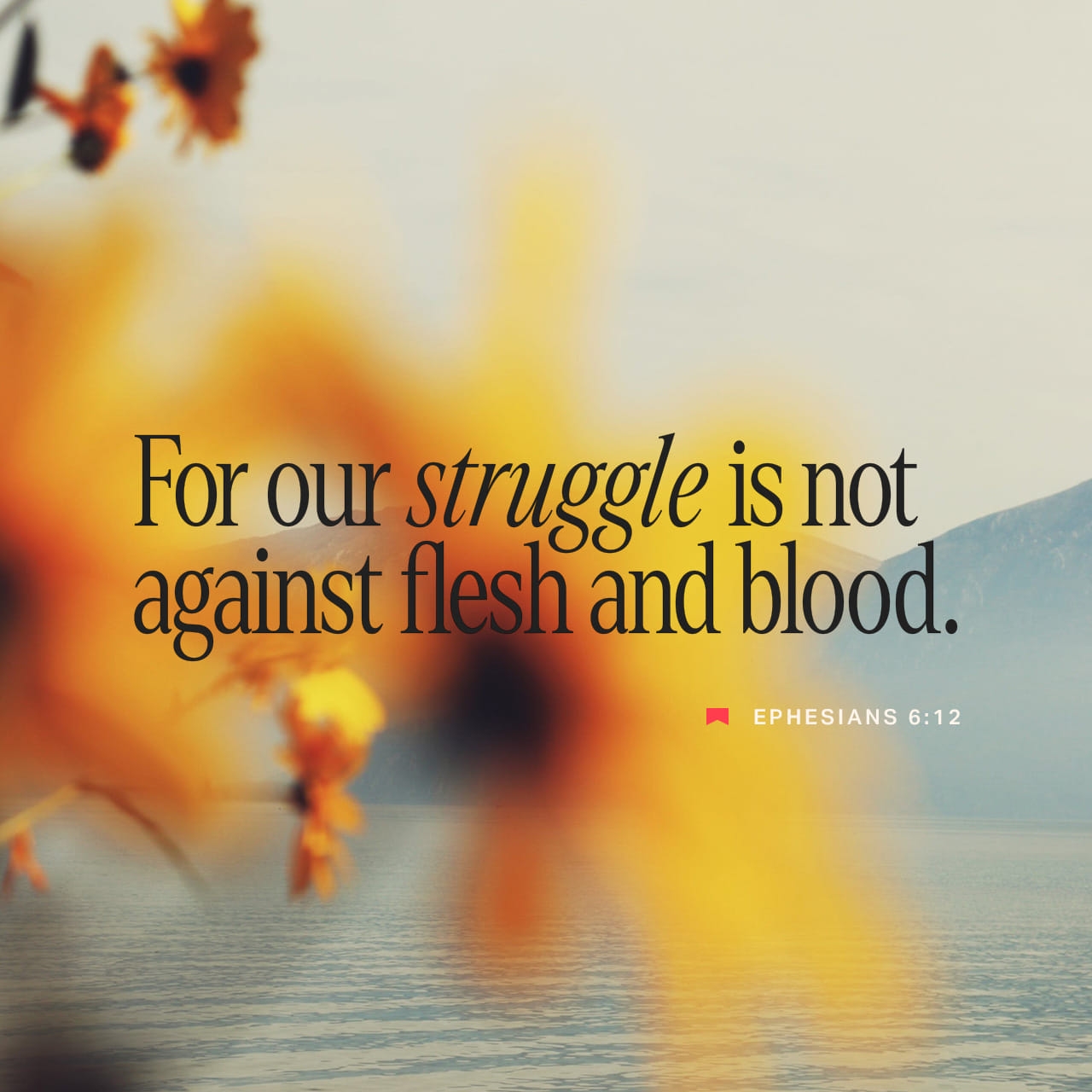 Ephesians 6 12 And That About Wraps It Up God Is Strong And He Wants You Strong So Take Everything The Master Has Set Out For You Well made Weapons Of The Best Materials 