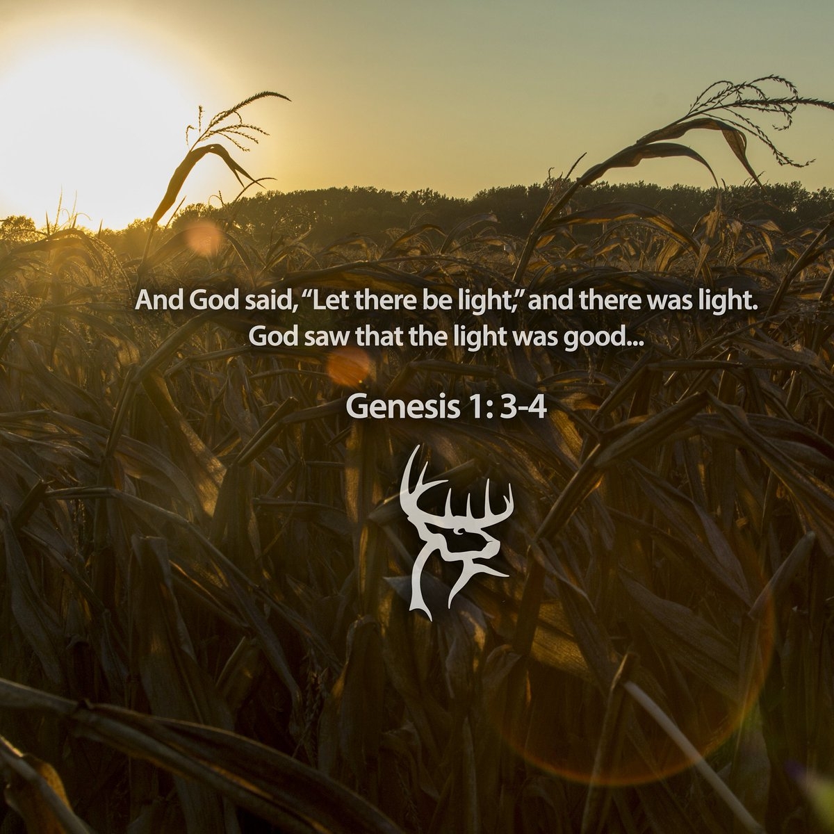 Every Hunter Can Appreciate This Bible Verse Gen 1 3 4