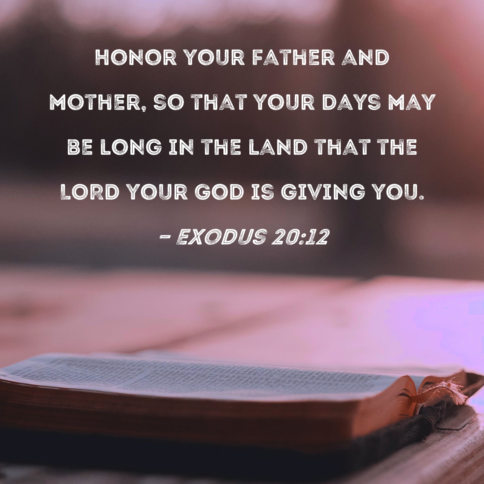 Exodus 20 12 Honor Your Father And Mother So That Your Days May Be Long In The Land That The LORD Your God Is Giving You 