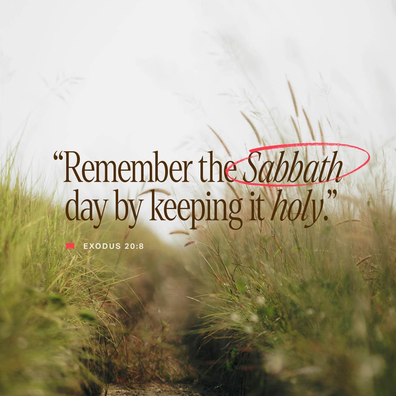 Exodus 20 8 10 Observe The Sabbath Day To Keep It Holy Work Six Days And Do Everything You Need To Do But The Seventh Day Is A Sabbath To GOD Your God Don t