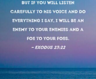 Exodus 23 22 But If You Will Listen Carefully To His Voice And Do Everything I Say I Will Be An Enemy To Your Enemies And A Foe To Your Foes