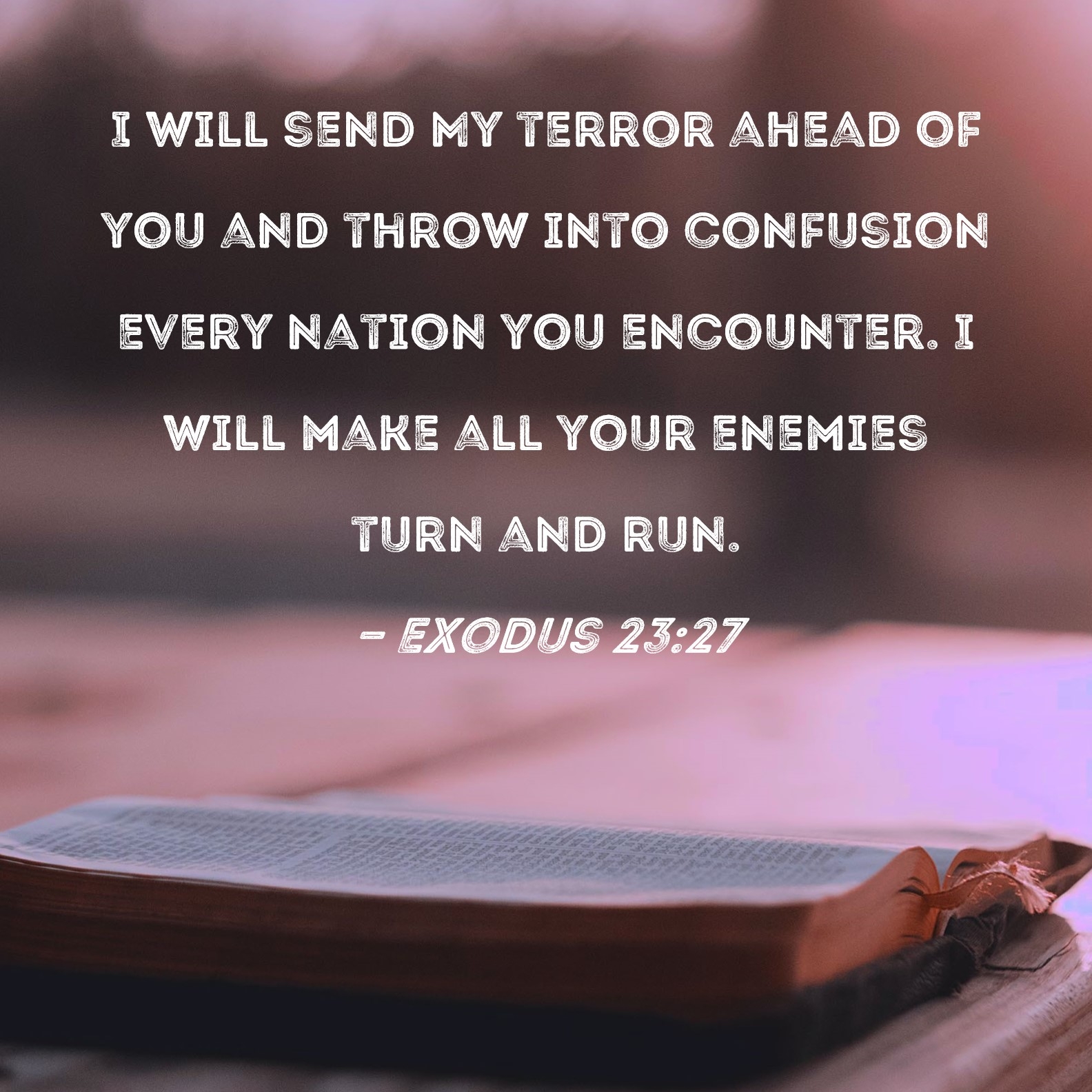 Exodus 23 27 I Will Send My Terror Ahead Of You And Throw Into Confusion Every Nation You Encounter I Will Make All Your Enemies Turn And Run 