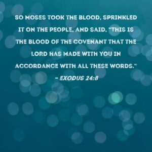 Exodus 24 8 So Moses Took The Blood Sprinkled It On The People And Said This Is The Blood Of The Covenant That The LORD Has Made With You In Accordance With All