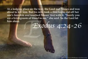 Exodus 4 24 26 Whats The Most Fucked Up Bible Verse In Your Opinion R exchristian