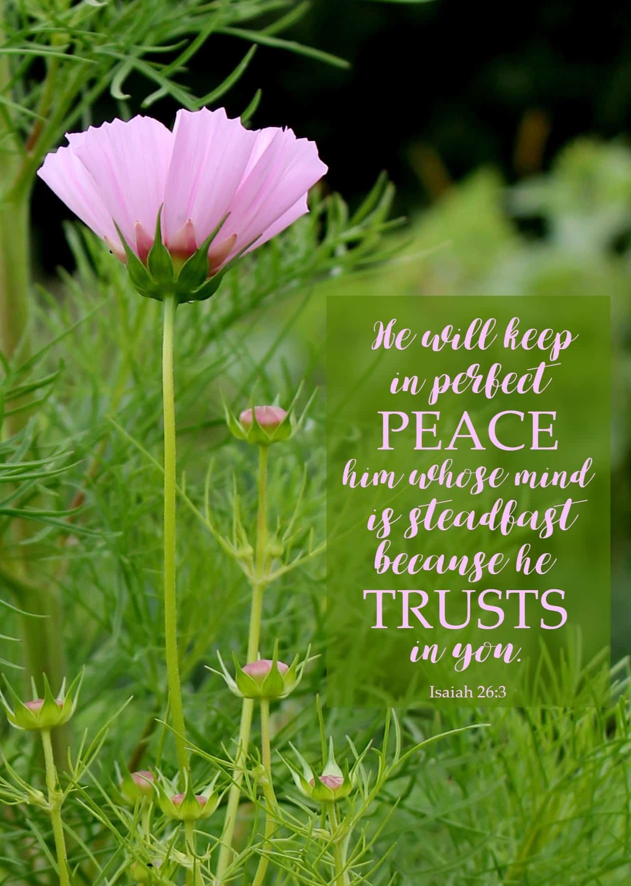 FaiTHought Finding Peace With God Adirondack Girl Heart