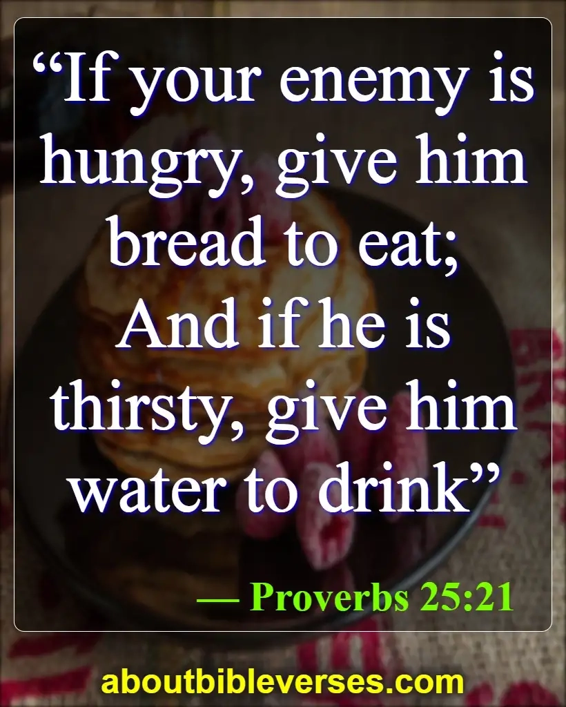 Feed The Hungry Bible Verse Feed Optimization Tips