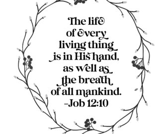 Feeling Like Job Scripture Challenge Job Wateringcanblog