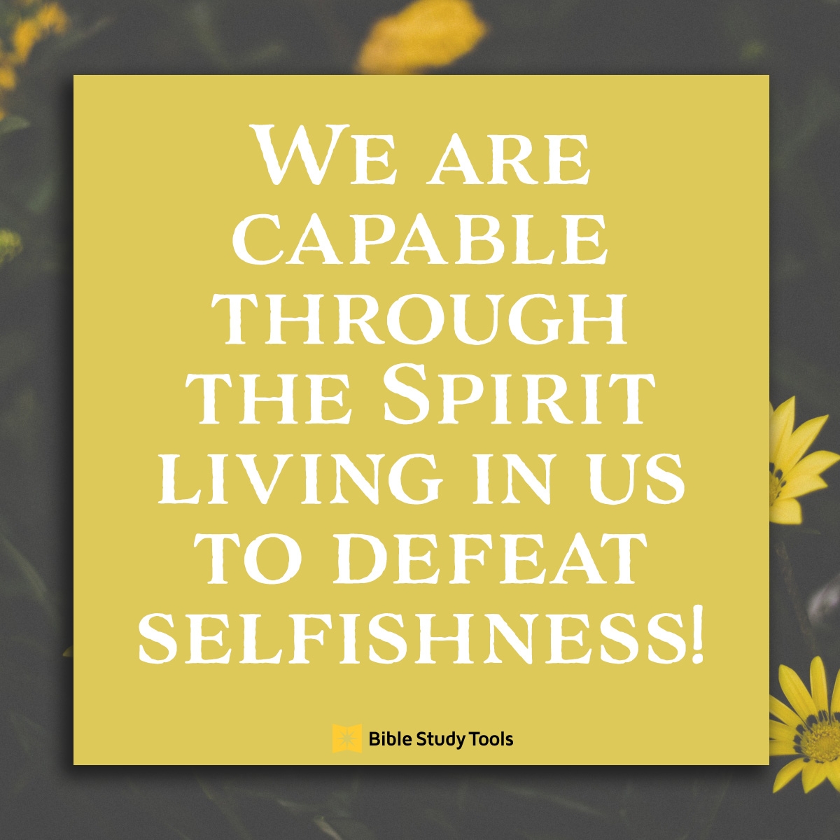 Fighting Selfishness Luke 22 24 Your Daily Bible Verse August 2 Oneplace