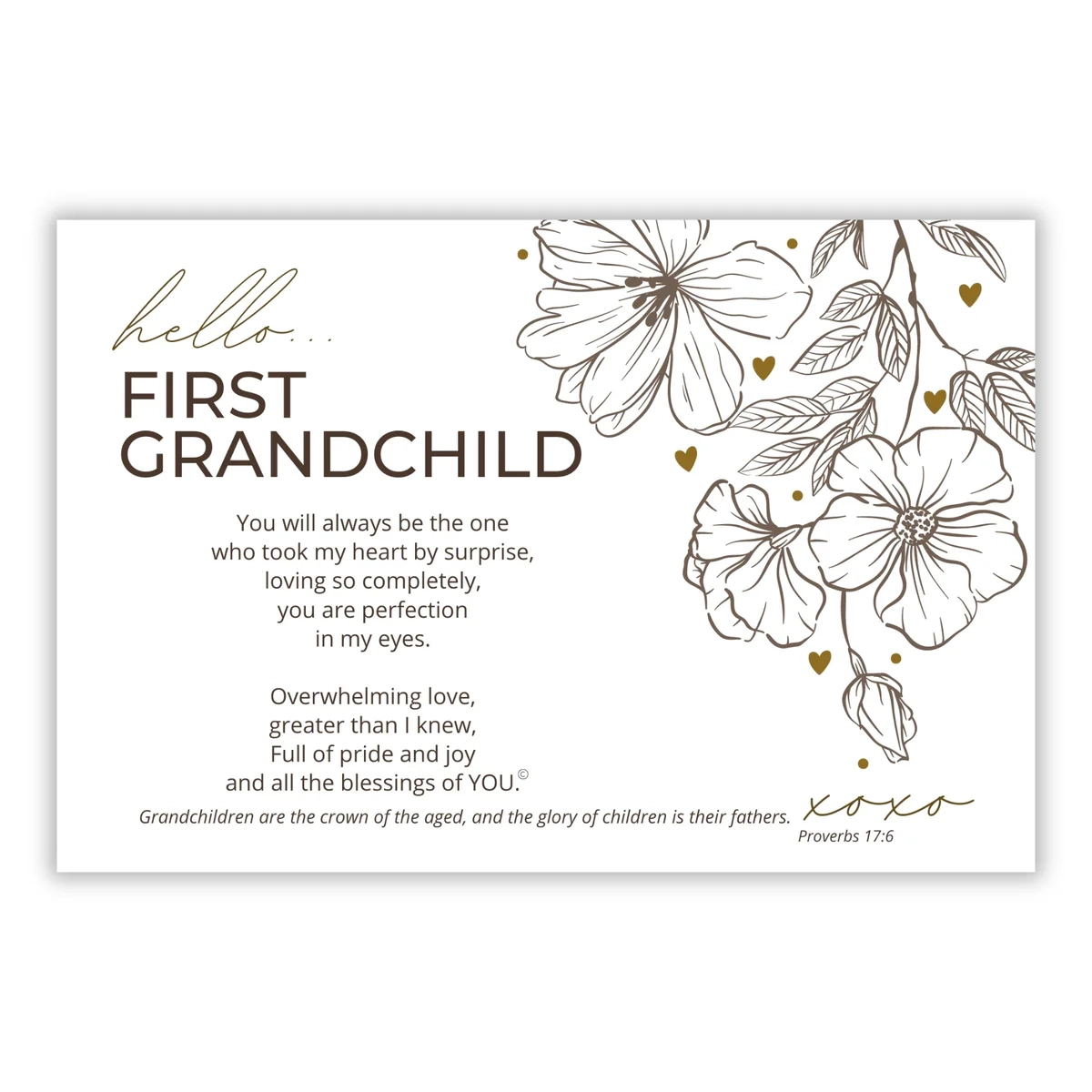 Bible Quotes About Grandchildren