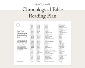 FOR MINISTRY USE Chronological Bible Reading Plan One Year Bible Plan 365 Bible Reading Plan Scripture Tracker Christian Planner Etsy