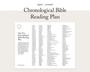 FOR MINISTRY USE Chronological Bible Reading Plan One Year Bible Plan 365 Bible Reading Plan Scripture Tracker Christian Planner Etsy