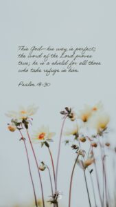 Free Bible Verse Phone Wallpapers Teach Them Diligently