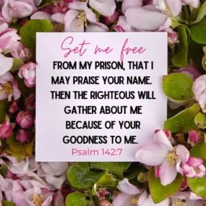 Freedom Prison And Praise A 1 Verse Prayer For Desperate Places AbigailWallace