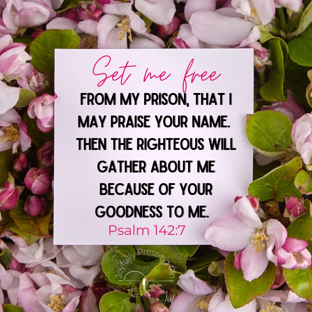 Freedom Prison And Praise A 1 Verse Prayer For Desperate Places AbigailWallace