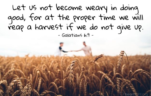 Galatians 6 9 Illustrated Let Us Not Become Weary In Doing Good Heartlight Gallery