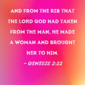 Genesis 2 22 And From The Rib That The LORD God Had Taken From The Man He Made A Woman And Brought Her To Him