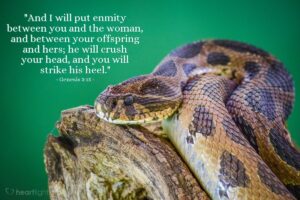 Genesis 3 15 Today s Verse For Friday March 15 2024
